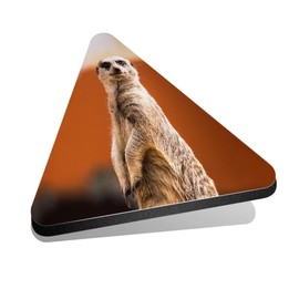 1x Triangle MDF Magnet 6cm - Funny Meerkat Standing Cute Animal - Fridge Locker Office Whiteboard Toolbox #63121