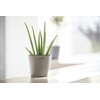 Ecopots Amsterdam Mini Durable Indoor/Outdoor Modern Round Recycled Plastic Planter