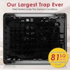 Qualirey 10 Pack Jumbo Rat & Mouse Glue Traps, Larger