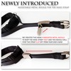 PetsProMax No-Pull Dog Headcollar for Large Dogs (Size L) -
