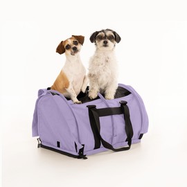 SturdiBag Pro 2.0 Divided Pet Travel Carrier with Flexible Height for Cats and Dogs | Soft Sided Pet Carrier Bag with Safety Clips and Seatbelt Straps for Airplane or Car Travel | Large, Lavender