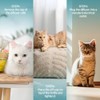 Cat Calming Diffuser Refill 6 Pack Cat Calming Pheromone Diffuser
