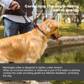 Dazzber Martingale Collars for Dogs, Adjustable, Heavy-Duty, Soft, Smooth, Easy Dog Walking, for Large/Small Dogs