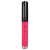 SLA Paris Vinyl Fruity Lip Gloss 5ml (Various Shades), 73