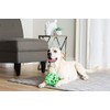 JW HOL-EE Roller Dog Toy