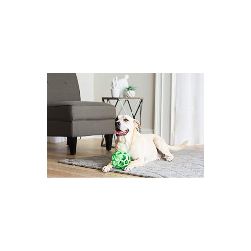 JW HOL-EE Roller Dog Toy