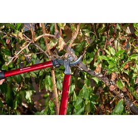 Corona AL 8350 MAX Forged ClassicCUT Bypass Loppers, 22 Inch, Red