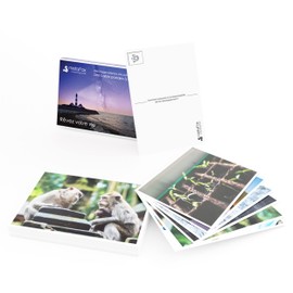 metaFox Rêvez votre vie | 52 Cartes Inspirantes, Cartes d'Affirmations Positives & Cartes Postales Motivantes, Cartes pour Coaching de Vie, Thérapie & Conseil Personnel, Cartes de Pleine Conscience