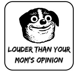 Funny Car Vinyl Decal Stickers Bumper Stickers (sticker11)