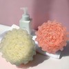 4pcs loofah washcloth Combo 2 in 1 bar soap loofah