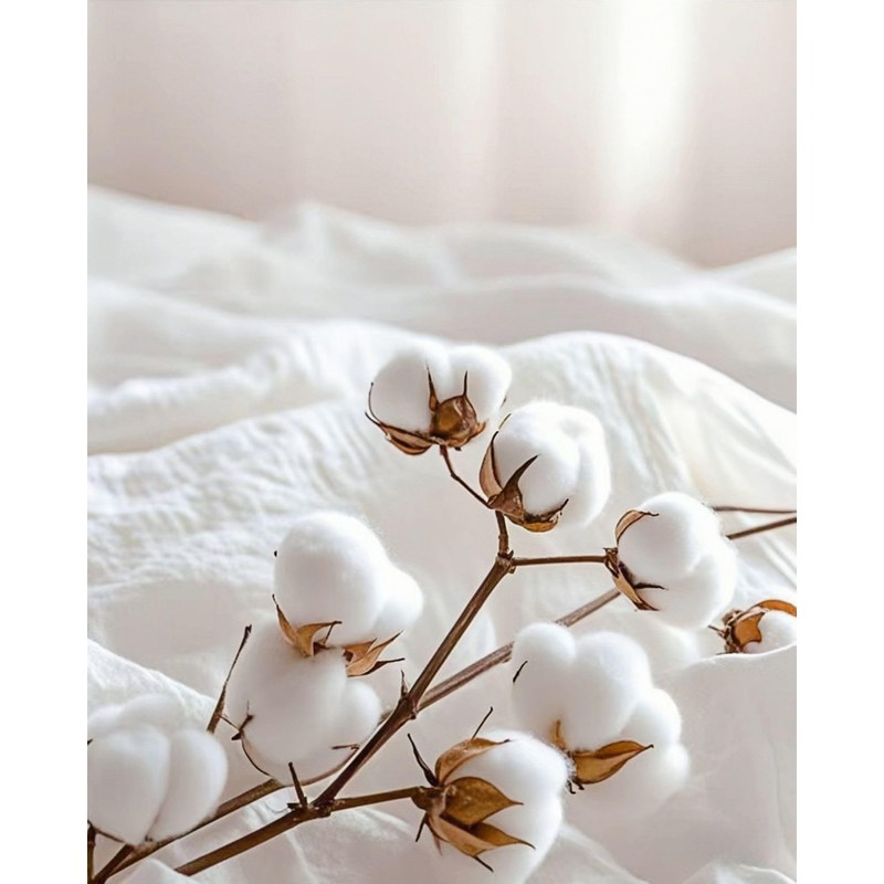 Queen Size Flat Sheet Only, Soft 300 Thread Count 100%