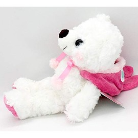 Ramen Bear Hokkaido Rabbit Bear 2 Rabbit Hood Dog Plush Small Hokkaido Limited Mauve Double Makoto