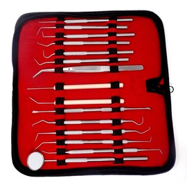 Dental Care Set Dentist Tools Kit of 15 Pcs Professional Calculus and Plaque Remover Dental Hygiene Set Made of Stainless Steel Tarter Scraper, Tooth Pick and Mouth Mirror for Teeth