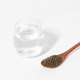 인진쑥환 170g Mugwort Pill 170g