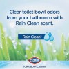 CLOROX 00938 Rain Clean Toilet Bowl Cleaner With Bleach, 24