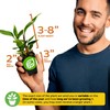 Hot Pink Ginger Live Herb Plant - Alpinia purpurata -