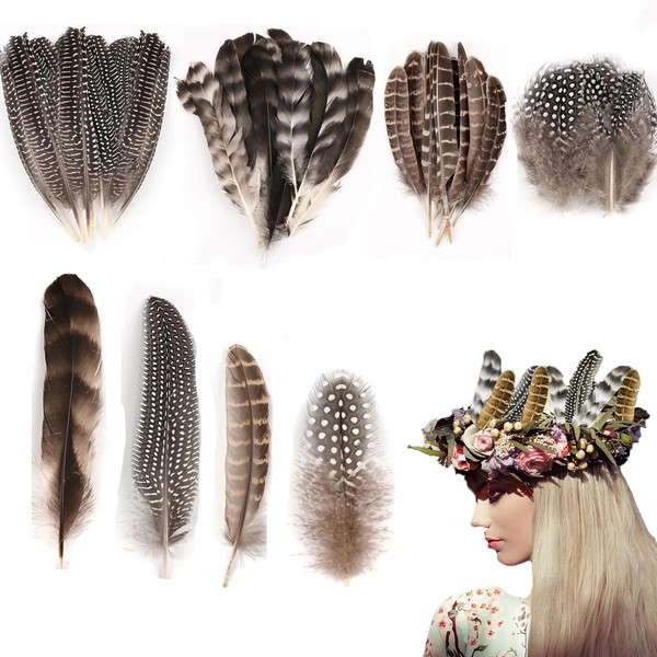Bogoro Feather Turkey Feathers, Pack of 50, 4 Style Pheasant