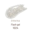 emena Flash Gel 1024 8g