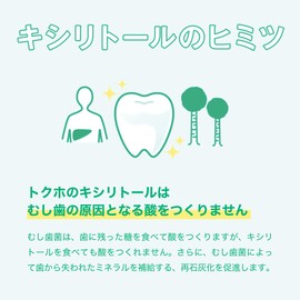 【トクホ】ロッテ キシリトールガム<ライムミント> 21g(14粒)×20個