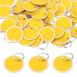 PATIKIL 1.2 Inch Metal Rim Key Tags 50 Pack Blank Round Paper Tags Bulk Writable Keychain Identifiers with Split Rings for Car Door Drawer Key Luggage Pet, Silver/Yellow