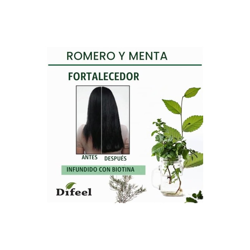 Difeel Champú fortalecedor del cabello de romero y menta, 12