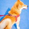 EXCELLENT ELITE SPANKER No Pull Dog Harness Step-in Adjustable Reflective