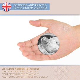 Destination Vinyl ltd Magnet for Refrigerator, Fridge BW - Cute Grey Seal Pup Sunbathing for Office, Cabinet and Whiteboard, Magnetic Stickers, 39444