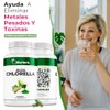 Bioherb Alga Chlorella Orgánica 100 Pura Cápsulas 500 Superfood Natural