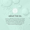 Tisserand Aromatherapy | English Peppermint | 100% Natural Pure Essential