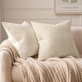 ANRODUO Set of 2 Cozy Boucle Pillow Covers Decorative Rich Textured Throw Pillow Covers 20x20 Inch Square Soft Accent Double-Sided Couch Cushion Case for Sofa Bed Living Room Spring Home Decor Beige