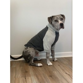 Tooth & Honey Big Dog/Pullover/Large Dog Shirt/Light Weight Shirt/Color Block Shirt/Summer Shirt (Large)