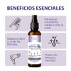 Tratamiento de aceite de romero anticaída 100 natural - Reparación