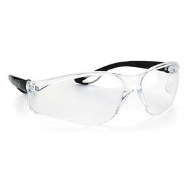 RAPTOR Safety Glasses Clear Antiqued