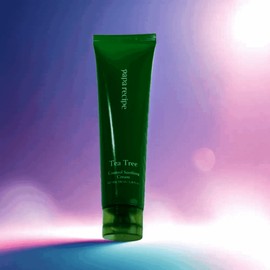 Papa Recipe Tea Tree Moisturizing Cream Tea Tree Control Soothing Cream 100ml 100ml x 1 / 파파레서피 티트리 수분크림 티트리 컨트롤 수딩 크림 100ml 100ml x 1개