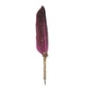 Feather Pen Set with 10 Interchangeable Nib Fire Lacquer Wax