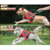 DEWVIE Service Dog Vest Harness, Adjustable Dog Harness and Dog