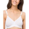 BeeDees Microfun N Women's Soft Bra, White, 95B