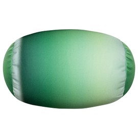 FABSKIY Squishy Microbead Neck Pillow, 7Inch x 12Inch Soft Travel Body Bed Pillow Bean Pillow for Kids Adult Chair Sleeping Car Seat, Fun Dormroom (Parrot Green Coloful)