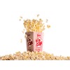 4oz Popcorn Portion Packs - Case of 36ct