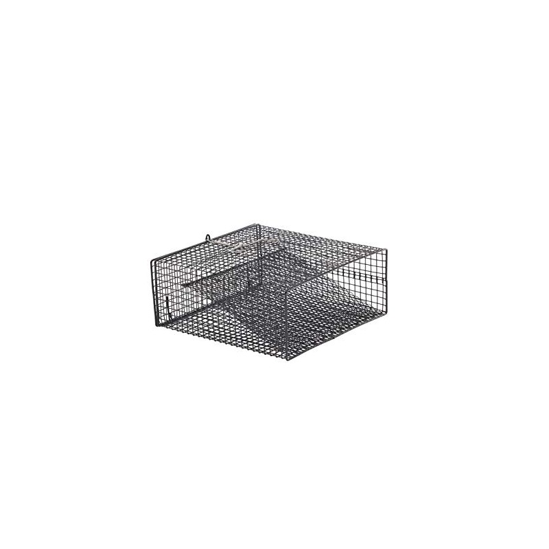 Frabill Flat-Bottom Crawfish Trap | Low-Profile Square Trap Specifically Designed