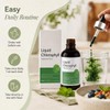 Liquid Chlorophyll Drops, Peppermint Flavor Chlorophyll Liquid Supplement with Chlorophyllin,