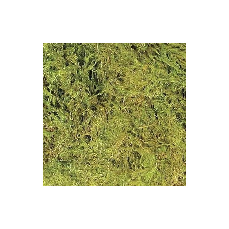 Zoo Med Frog Moss, 80 Cubic-Inches
