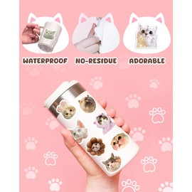 100 Pcs Funny Cat Meme Stickers, Holographic Sparkly Cute Cat Stickers for Water Bottles, Laptops, Skateboard, Vinyl Waterproof, Cool Pet Sticker, Cat Birthday Party Supplies (Cat)