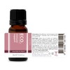 ECO. Modern Essentials Immune Support Essential Oil Blend, 10ml