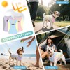 3 Pack Dog Cooling Vest with D-Ring Dog Tshirt Sun