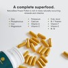 NatureBee Power Pollen 200 x 500mg Caps (Pack of 2)