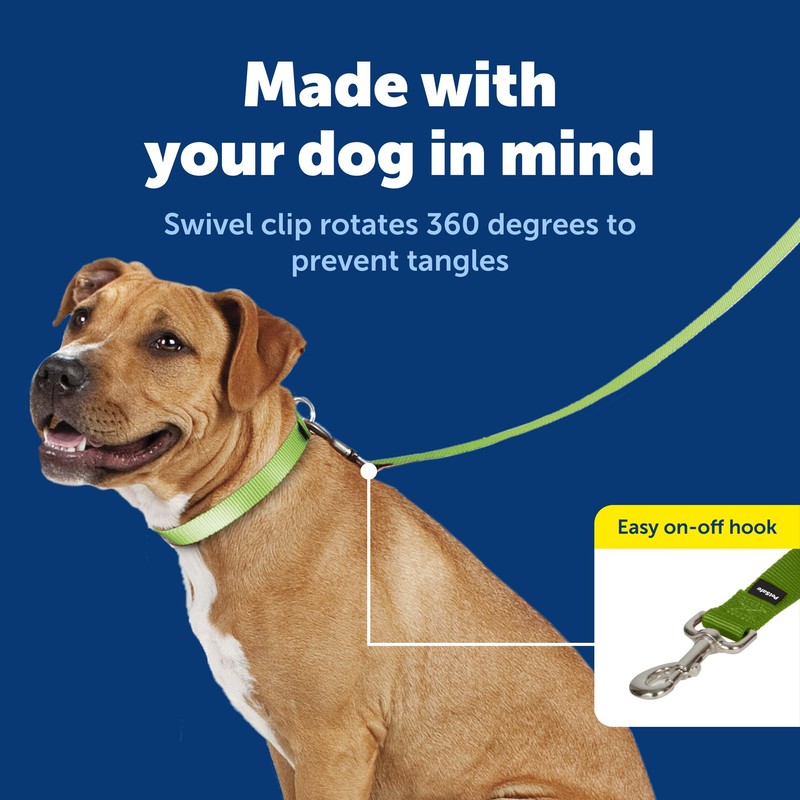 PetSafe Nylon Dog Leash Strong, Durable, Traditional Style Lead with