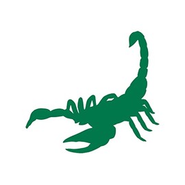 Scorpion Silhouette Scorpio Car Vinyl Decal Water Bottle Tumbler Vehicle Sticker