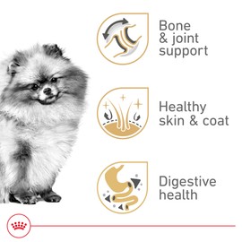 Royal Canin Breed Health Nutrition Pomeranian Adult Dry Dog Food, 10 lb Bag