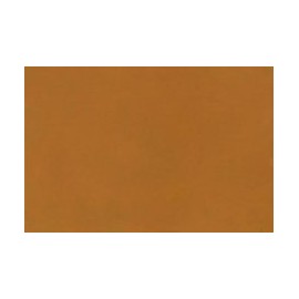 Hard Fill Honey Maple 158